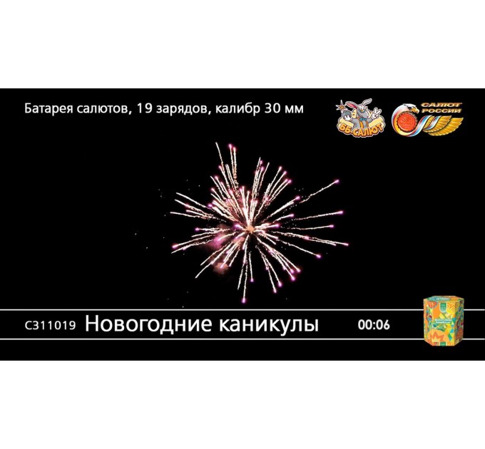 Фейерверк С311019 Новогодние каникулы (1,25" х 19)
